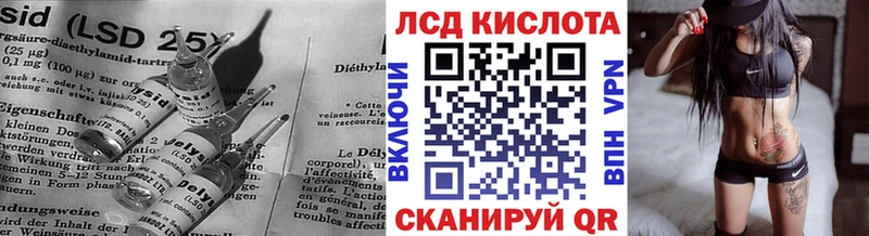 где купить наркоту  Новое Девяткино  LSD-25 экстази ecstasy 