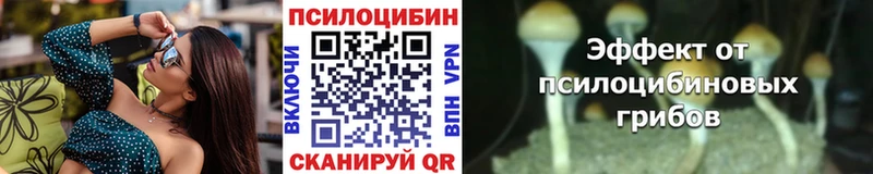 где найти   Новое Девяткино  Галлюциногенные грибы Cubensis 